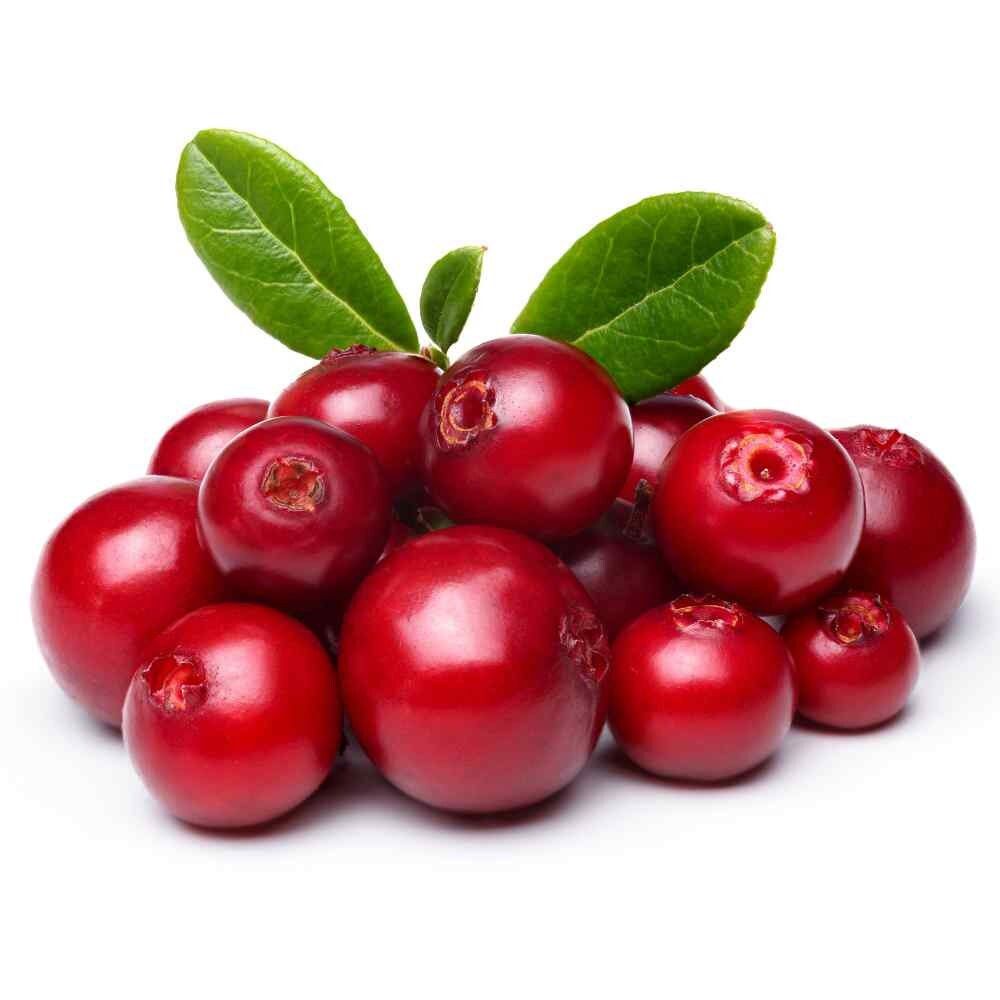 Amla Ingredient