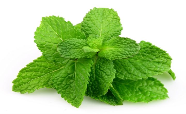 Rhodiola Ingredient